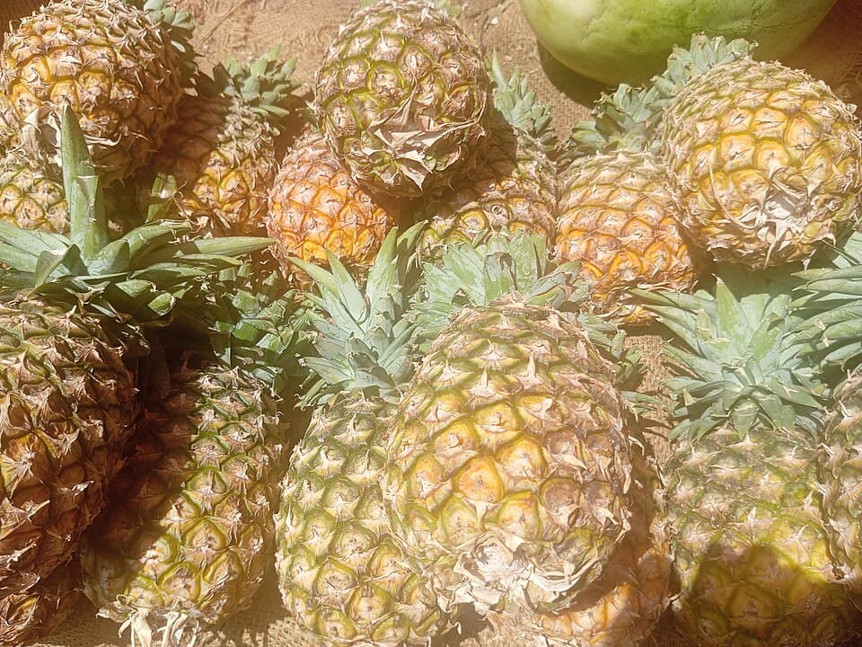 Ananas