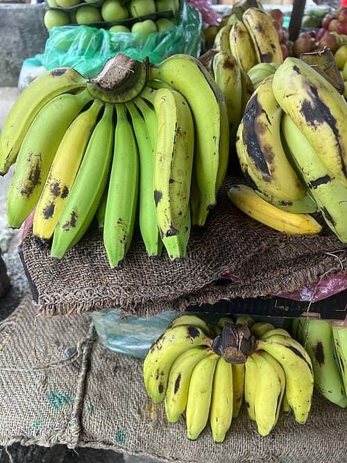 Banane plantain
